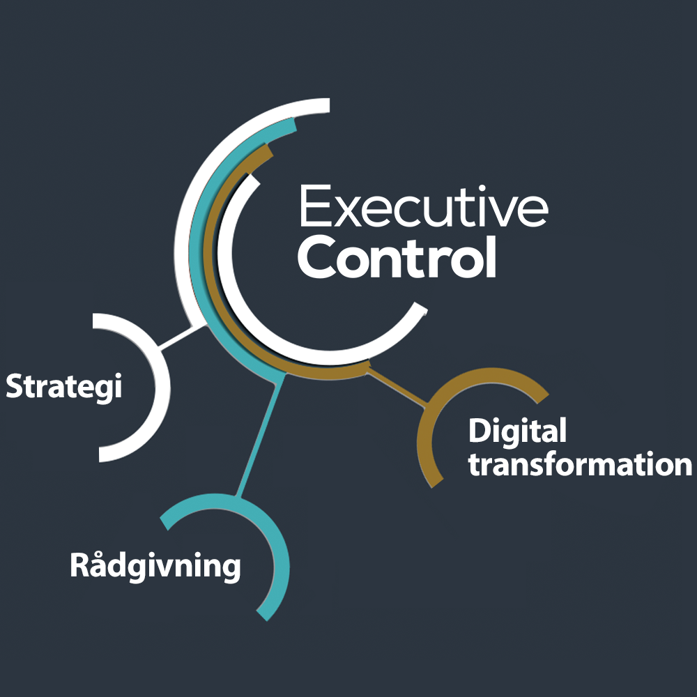 Executive-Control-Transformation-Services